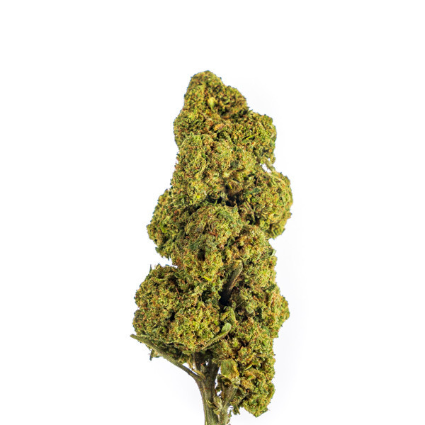 Tangie Tonic GH - Fleurs CBD