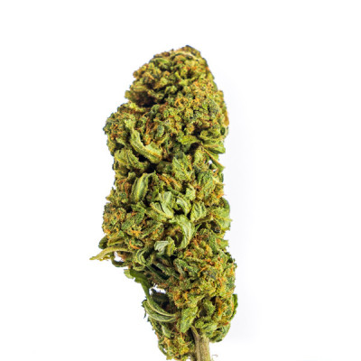 Achetez White Widow Fleurs CBD Small | Qualité Supérieure | Boutique e