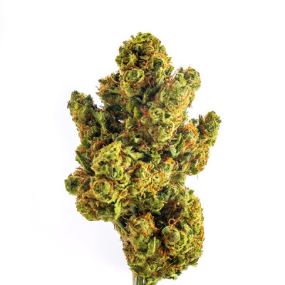 Achetez Amnesia US Fleurs THCP en Ligne | Qualité Supérieure CBD