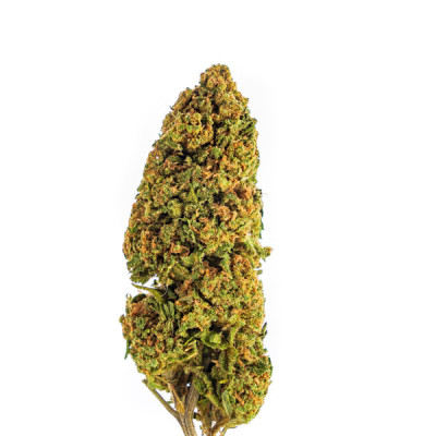 Achetez BZ Queen GH Fleurs CBD - Qualité Supérieure & Effets Apaisants