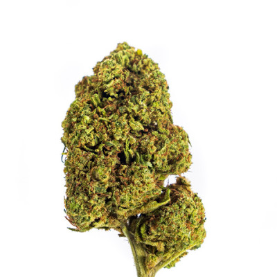 Achetez BZ1 Fleurs CBD Small - Qualité Supérieure & Effets Naturels