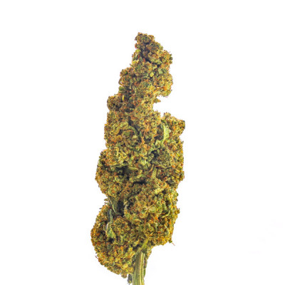 Achetez G 13 Fleurs THCP en Ligne | Qualité Supérieure CBD Shop