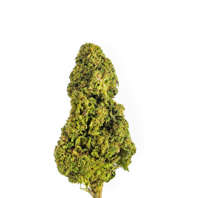 Achetez Gelato Fleurs CBD - Qualité Supérieure & Effets Relaxants | No