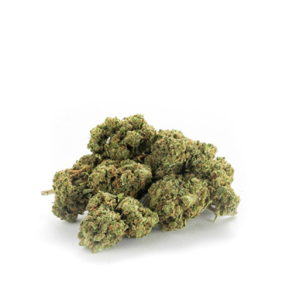 Achetez Harlequin Fleurs CBD Small - Qualité Supérieure & Effet Apaisa