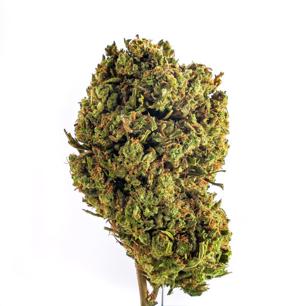 Pineapple - Fleurs CBD small