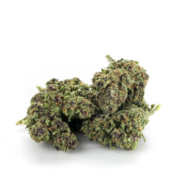Purple Haze Hybrid - Fleurs CBD small