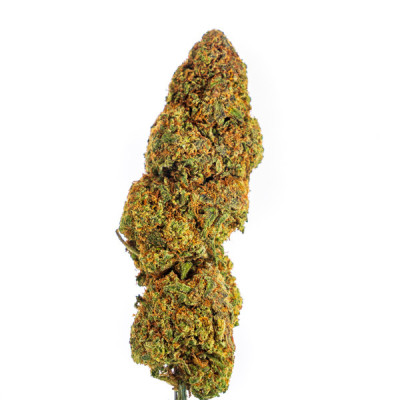 Achetez Raspberry GH - Fleurs CBD de Qualité Supérieure | NomDuSite